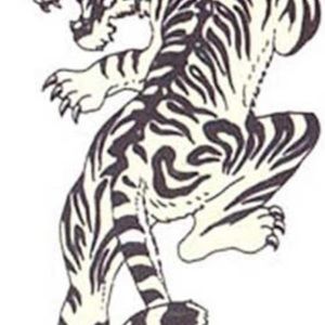 Meet your Posher, Cameron